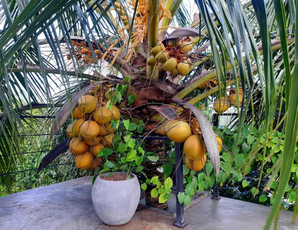 Weligama Bay Watsila Resort Екстериор снимка